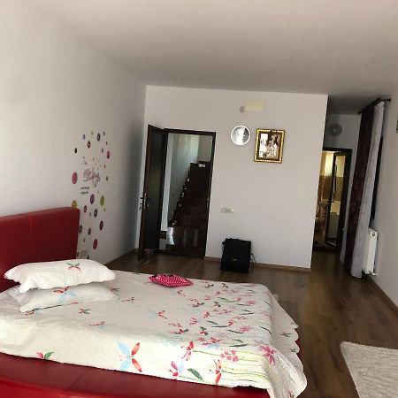 Adelina Apartman Schitu Kültér fotó