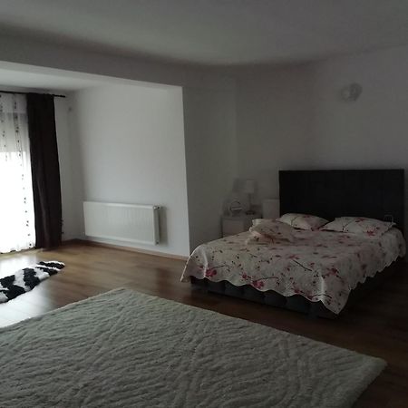 Adelina Apartman Schitu Kültér fotó