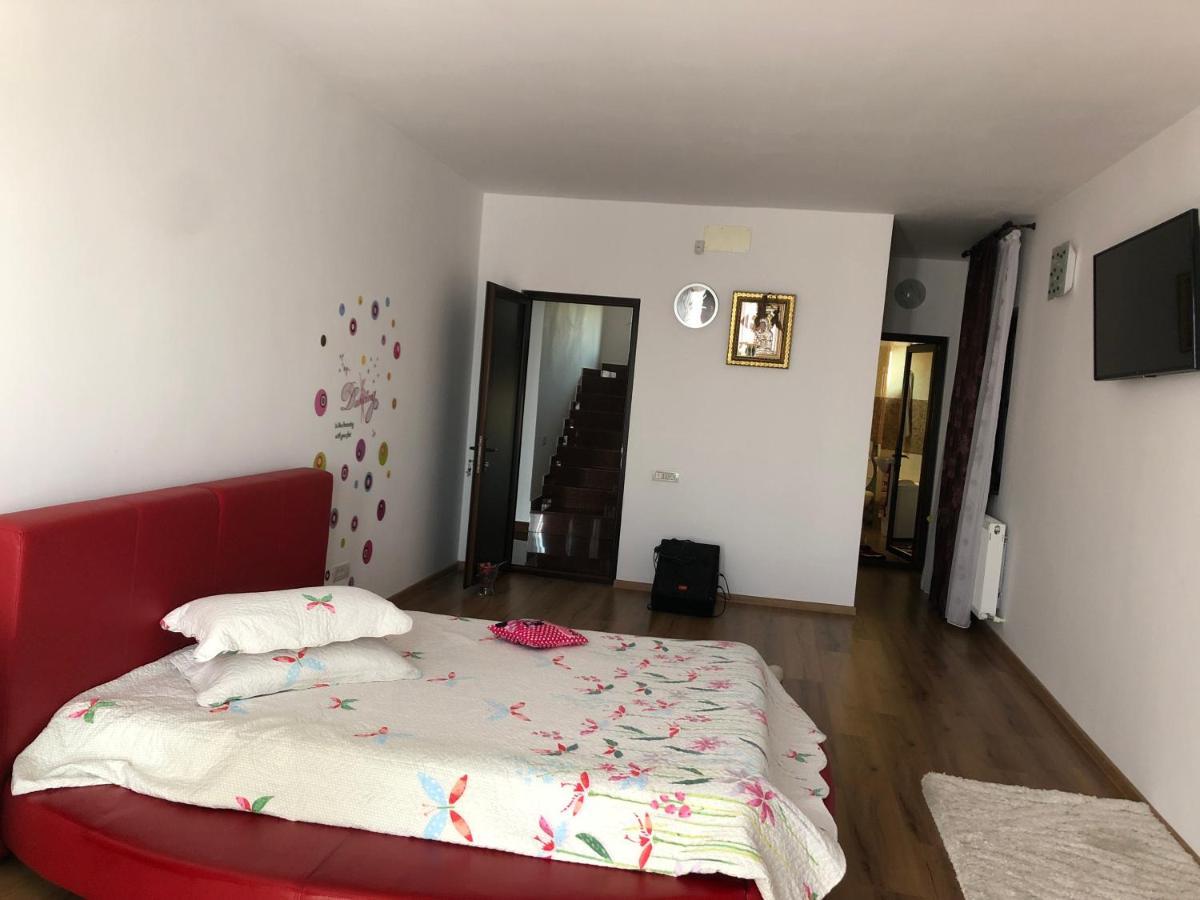 Adelina Apartman Schitu Kültér fotó
