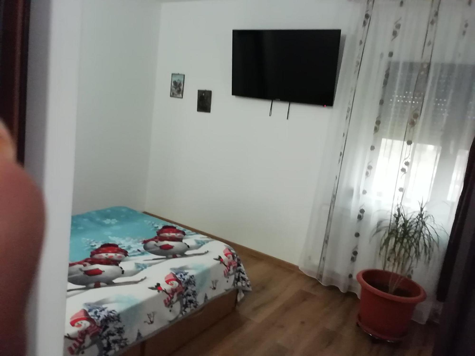 Adelina Apartman Schitu Kültér fotó